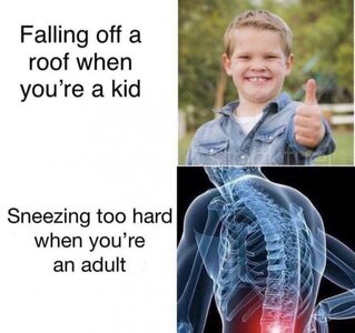 102026-70b4e0e7a7434826678efb390eebf002.jpeg