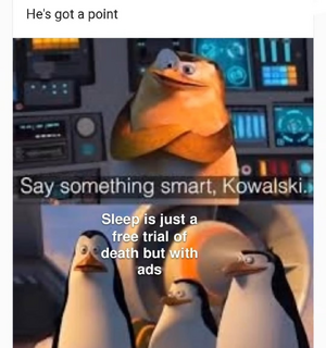 ryx1nbgi8i6f1.png
