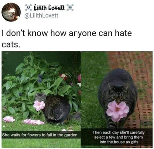 1749791175903.png