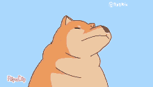 1750121059756.gif