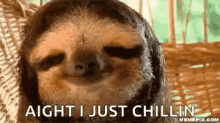 IMG_6329.gif