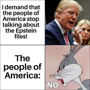 4iz99vus6ncf1.jpeg