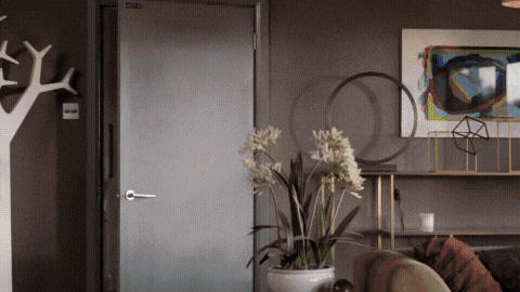 IMG_2461.gif