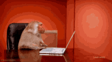 1753534089409.gif