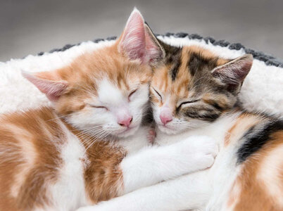 rest-time.jpg
