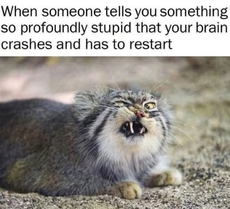 2792.jpg