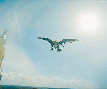 superman-hawkgirl.gif