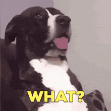 1754631027207.gif