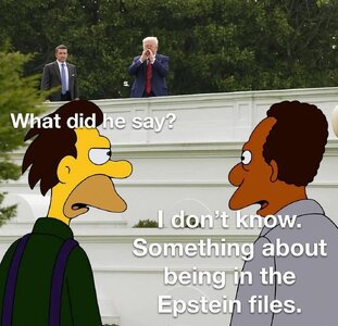 9yqp9lnprphf1.jpeg