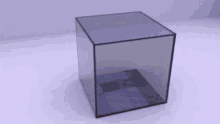 IMG_8989.gif