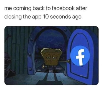 FB_IMG_1754878739635.jpg