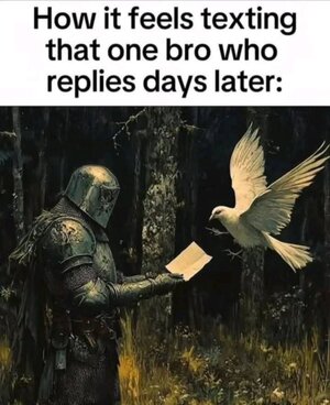 40d2c2c7-54e8-4e69-af81-d13c4b63fe55.jpeg