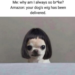 3516.jpg