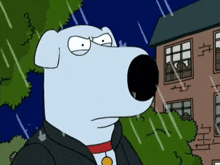 1755889988177.gif