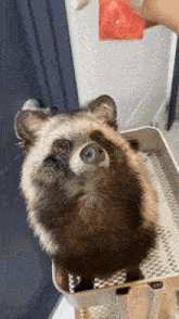 1756061122475.png