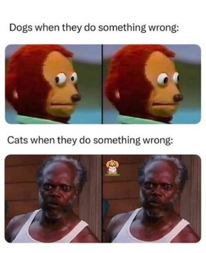 3824.jpg