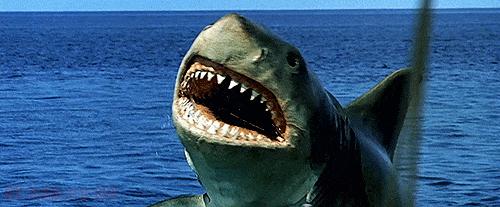 jaws-the-revenge-gif.gif