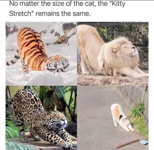 4395.jpg