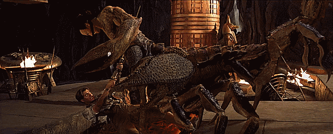 IMG_0817.gif