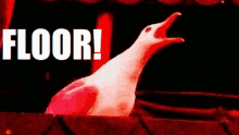 1757586743156.gif