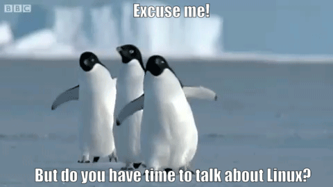 ezgif.com-added-text(2).gif