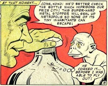 Koko_the_Space_Monkey.JPG.webp