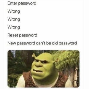 4693.jpg