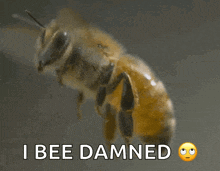 1759054018782.gif