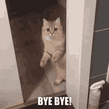 1759197733696.gif