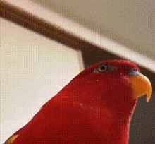 1759275817112.gif