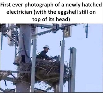 3185479620.jpg