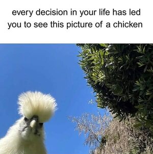 4986.jpg