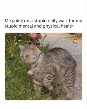 4992.jpg