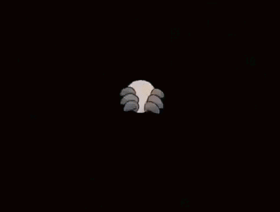 animaniacs-slappy-squirrel.gif