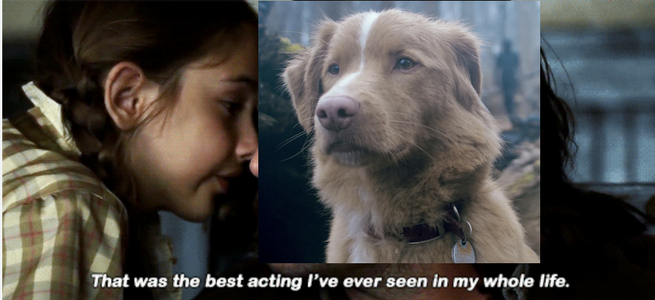 Screen Shot 2025-10-05 at 4.27.11 PM.png