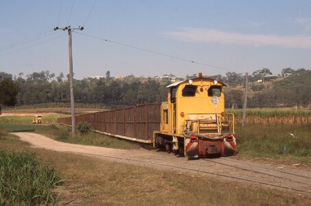 Jamaica at River Depot, with Bli-Bli behind, 8th October 2001.jpg