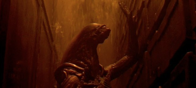 alien17.jpg alien17.jpg