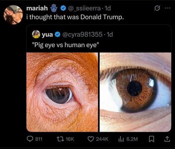 1761105117607.jpeg