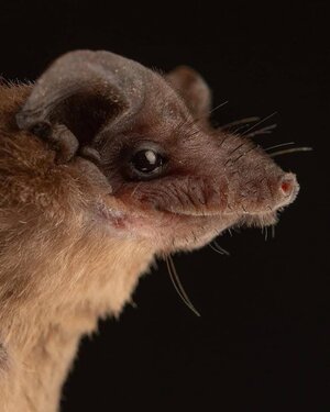 1761530735920.jpeg 1761530735920.jpeg