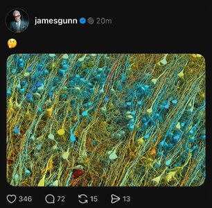 IMG_6429.jpeg IMG_6429.jpeg