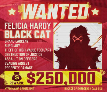 Black_cat_wanted_poster.jpg