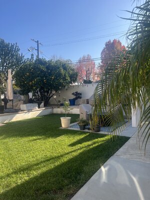 Winter in West LA.jpg