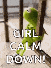 1766907292020.gif 1766907292020.gif