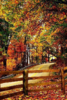 upload_2018-12-3_22-55-5.png
