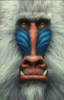 upload_2018-12-7_13-26-41.png