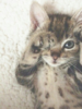 upload_2018-12-7_23-3-34.png