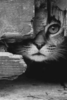 upload_2018-12-7_23-28-38.png