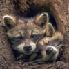 upload_2018-12-7_23-47-58.png