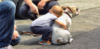 upload_2018-12-26_21-18-46.png