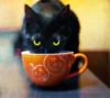upload_2018-12-28_0-48-38.png
